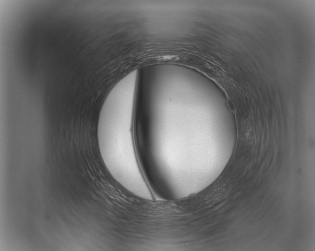 X0000071391442200606230927