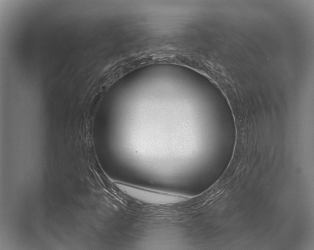 X0000071391445200606230927