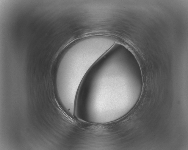 X0000071391450200606230927