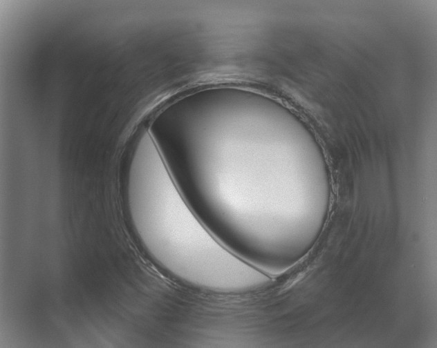 X0000071391453200606230927
