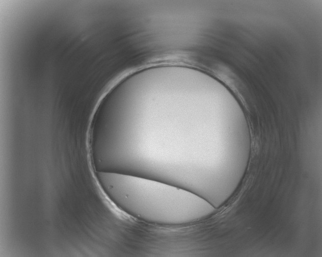 X0000071391482200606230927
