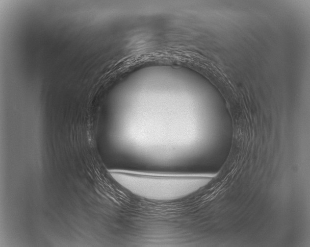 X0000071391490200606230926