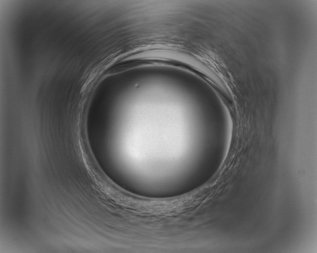 X0000071390001200606231324