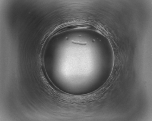 X0000071390002200606231324