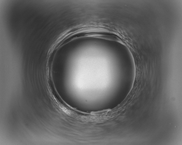 X0000071390005200606231324