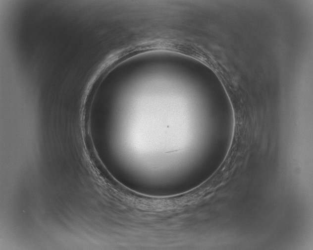 X0000071390006200606231324