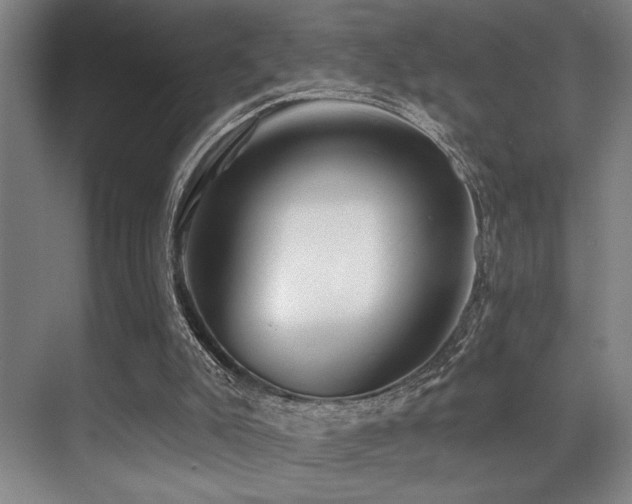 X0000071390007200606231324