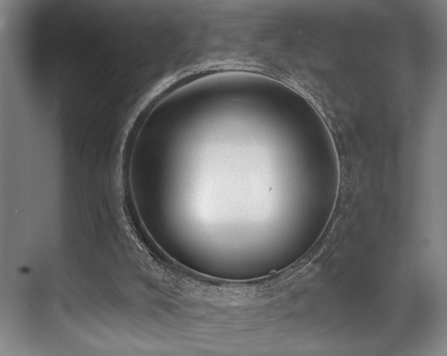 X0000071390008200606231324