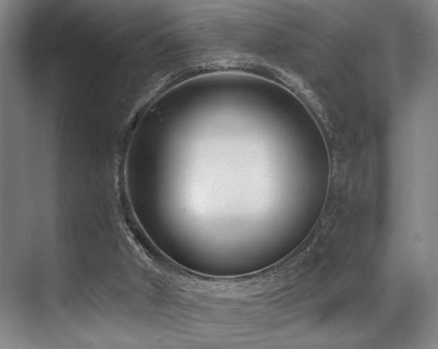 X0000071390010200606231323