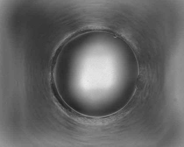 X0000071390015200606231323