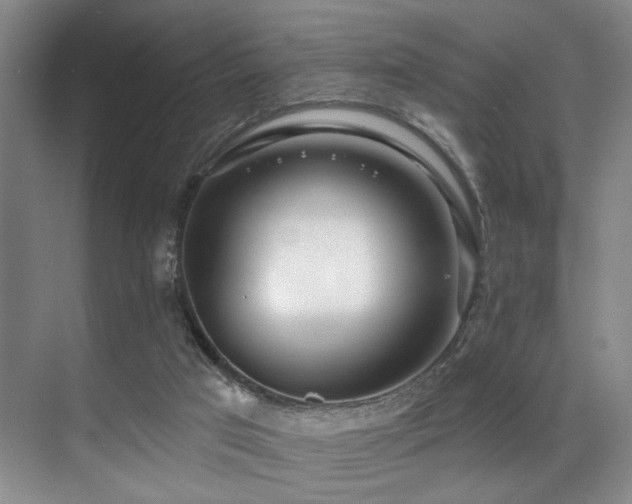X0000071390017200606231323