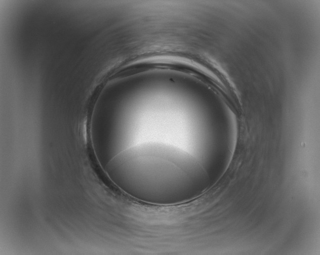 X0000071390019200606231323