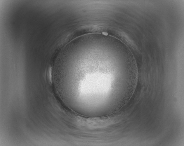 X0000071390022200606231323
