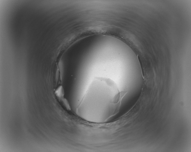 X0000071390023200606231323