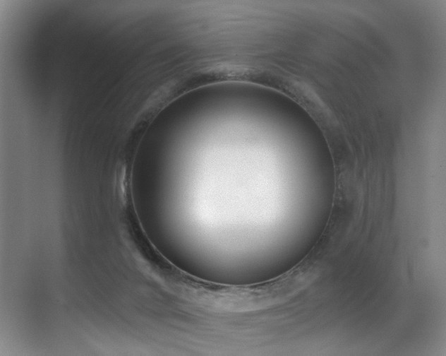X0000071390024200606231323