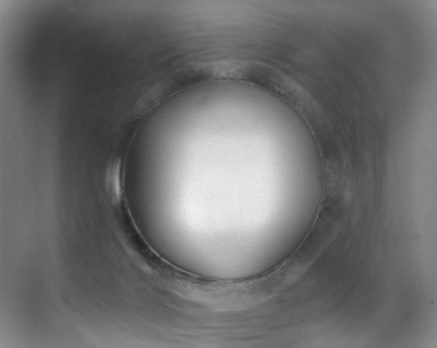 X0000071390028200606231323
