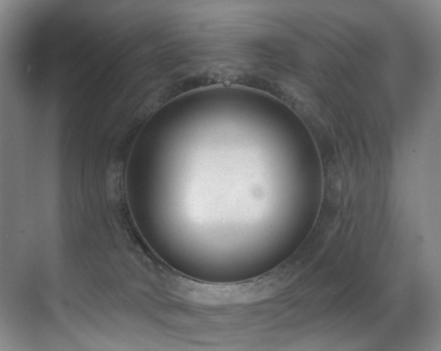 X0000071390034200606231323