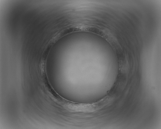 X0000071390036200606231323
