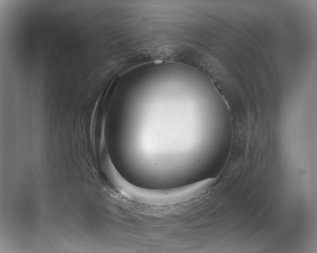 X0000071390037200606231323