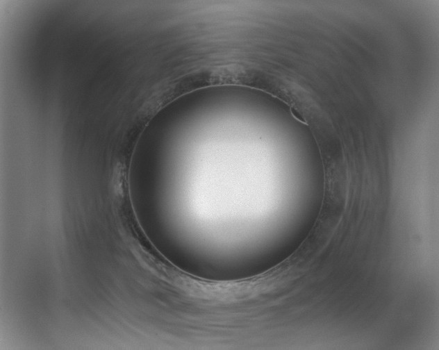 X0000071390038200606231323
