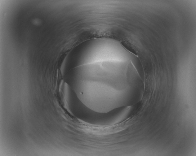 X0000071390039200606231323