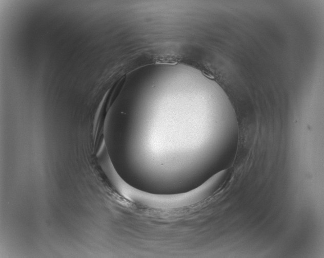X0000071390041200606231323