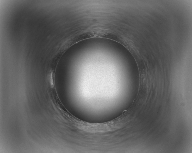 X0000071390042200606231323