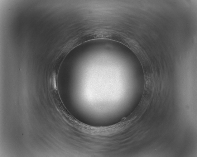 X0000071390046200606231323