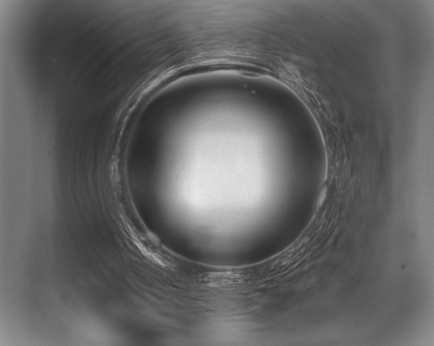 X0000071390050200606231322