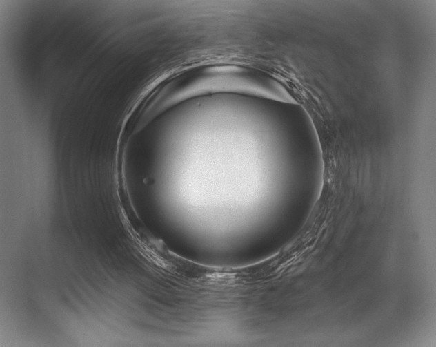 X0000071390052200606231322