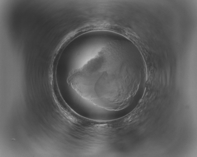 X0000071390054200606231322