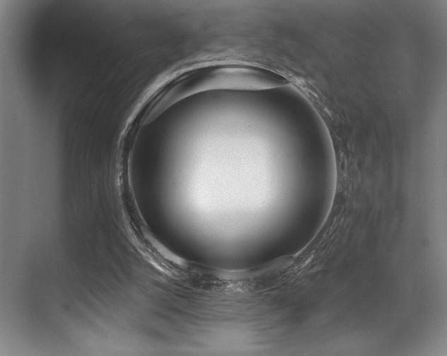 X0000071390056200606231322