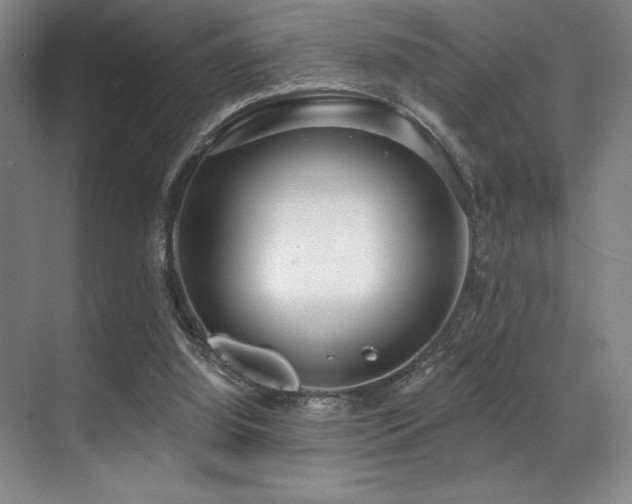 X0000071390060200606231322