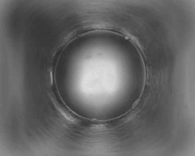 X0000071390061200606231322