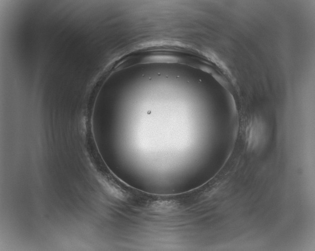 X0000071390063200606231322