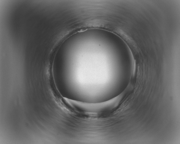 X0000071390064200606231322