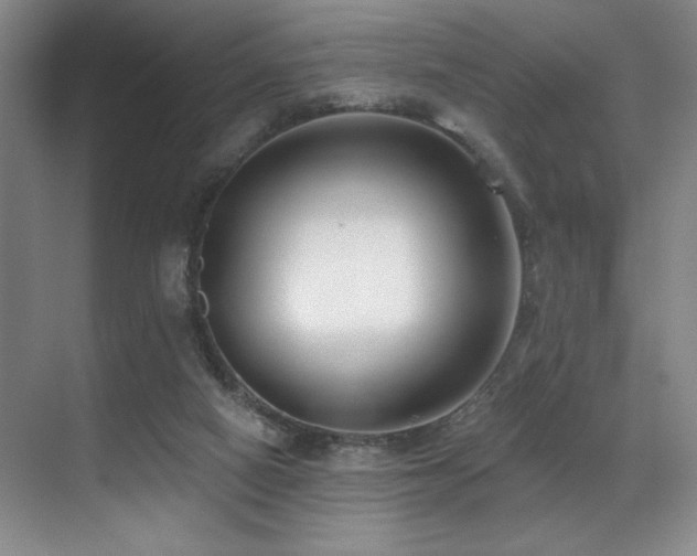 X0000071390066200606231322