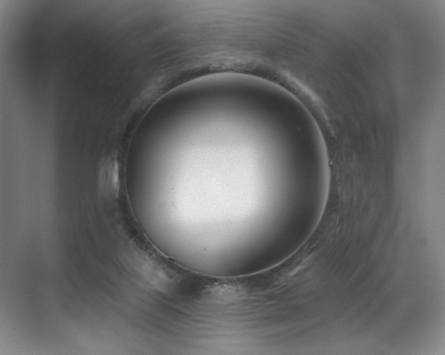 X0000071390067200606231322