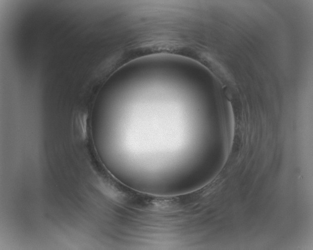 X0000071390070200606231322