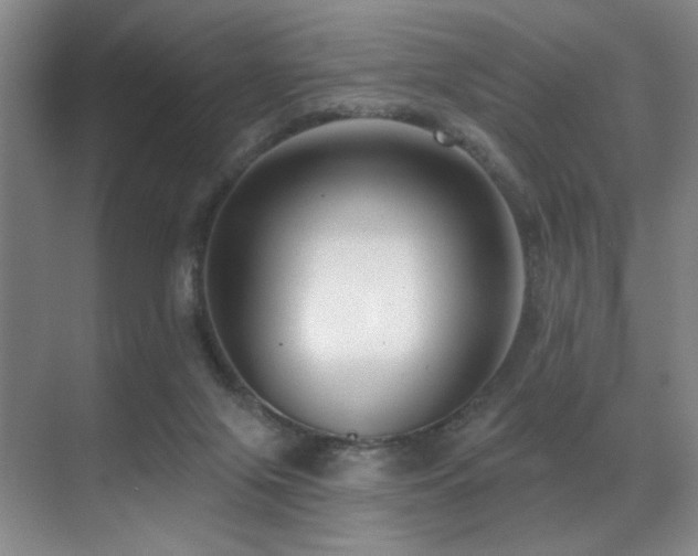 X0000071390071200606231322