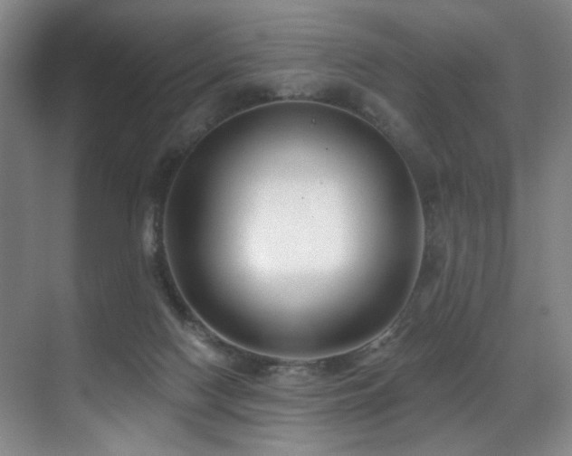 X0000071390074200606231322