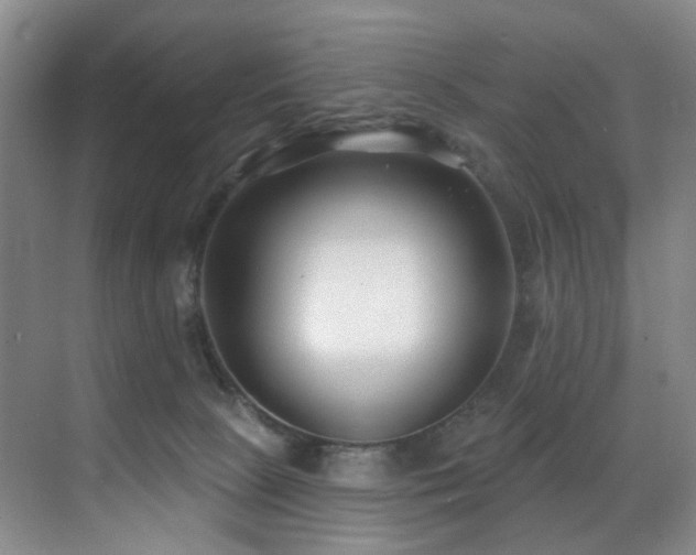 X0000071390081200606231323