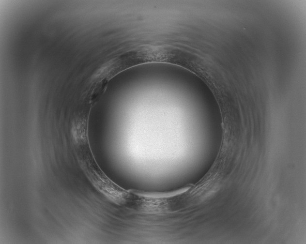X0000071390096200606231323