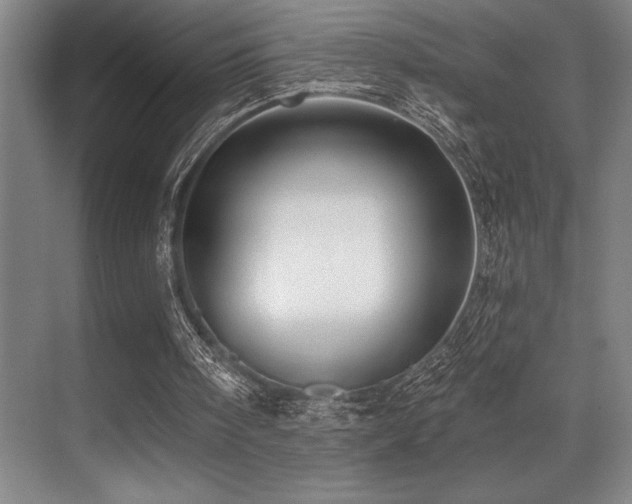 X0000071390098200606231322