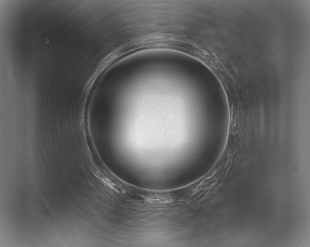 X0000071390099200606231322