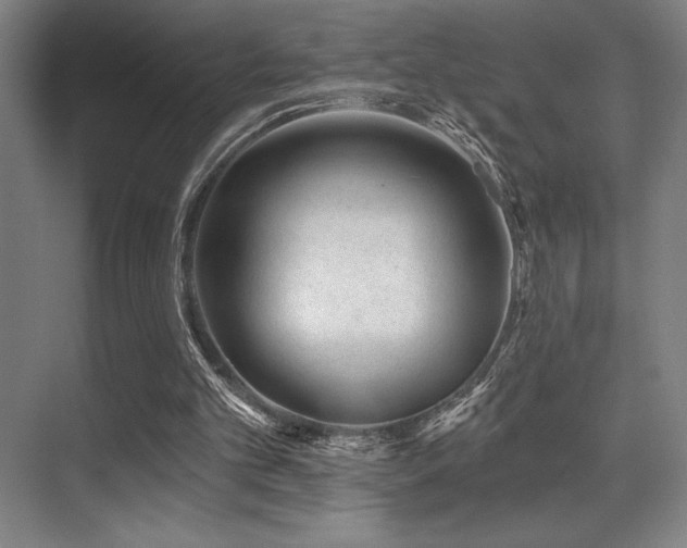 X0000071390101200606231322