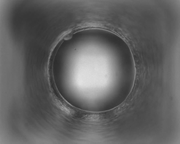 X0000071390104200606231322