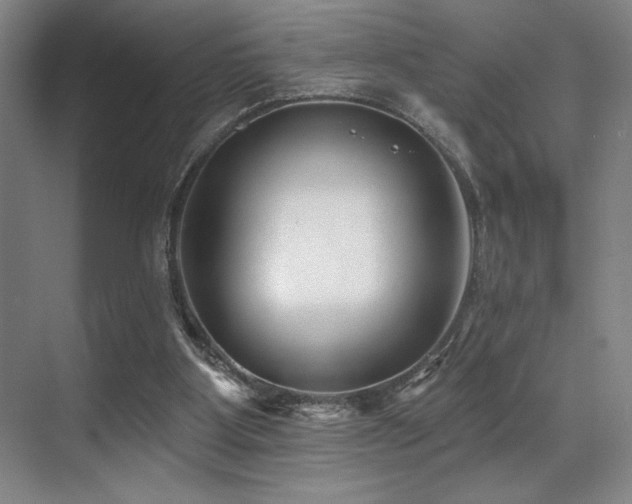 X0000071390107200606231322
