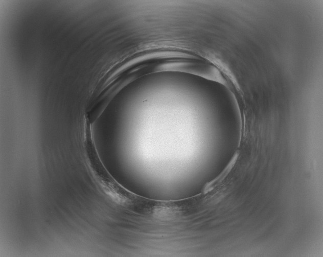 X0000071390109200606231322