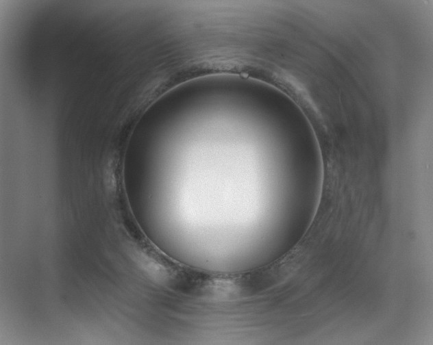 X0000071390114200606231322